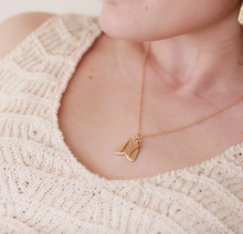 Load image into Gallery viewer, Moth Pendant