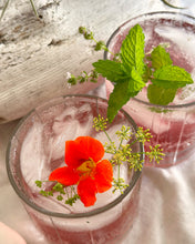Load image into Gallery viewer, Air Plants and Summer Cocktails Workshop