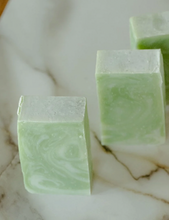 Load image into Gallery viewer, Moisturizing Vegan Body Wash