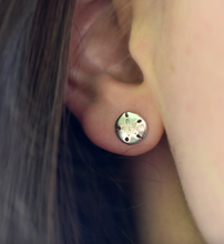 Load image into Gallery viewer, Sand Dollar Stud Earrings
