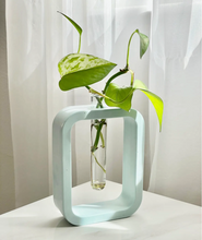Load image into Gallery viewer, Plant Propagation Cement Vase