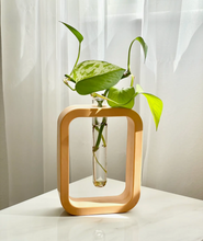 Load image into Gallery viewer, Plant Propagation Cement Vase