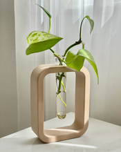 Load image into Gallery viewer, Plant Propagation Cement Vase