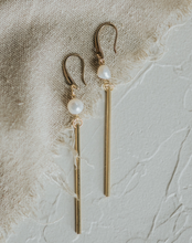Load image into Gallery viewer, Passerine Earrings
