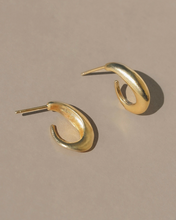 Load image into Gallery viewer, Mirus Earring
