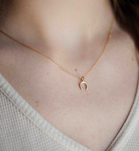 Load image into Gallery viewer, Horseshoe Necklace
