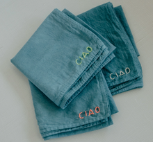 Load image into Gallery viewer, Organic Cotton Embroidered Bandana
