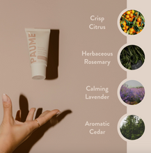 Load image into Gallery viewer, Paume Renewing Hand Serum
