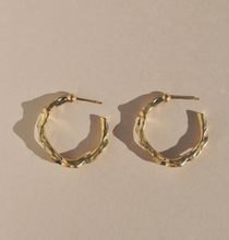 Load image into Gallery viewer, Scoria Hoops
