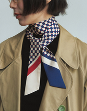 Load image into Gallery viewer, Silk Scarf
