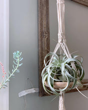Load image into Gallery viewer, Macramé Plant Hanging Kit
