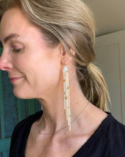 Load image into Gallery viewer, Hand Beaded Duster Earrings
