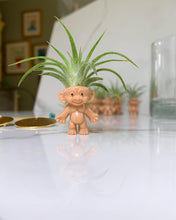 Load image into Gallery viewer, Troll with Air Plant Hair
